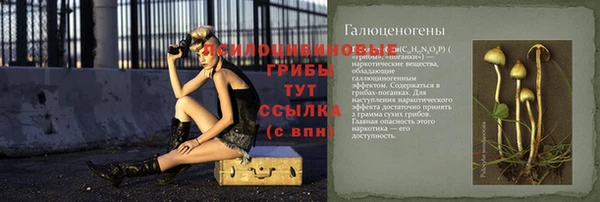 тгк Алексеевка