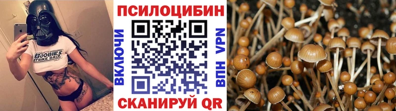 Галлюциногенные грибы Magic Shrooms  где найти   OMG как войти  Саров 