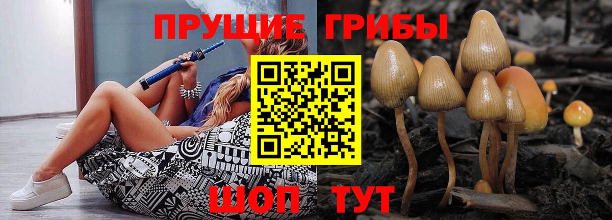 Галлюциногенные грибы Cubensis Саров