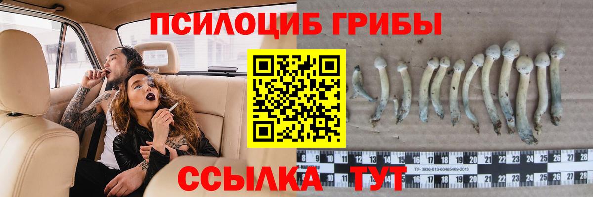 Саров  Галлюциногенные грибы ЛСД  Вход с VPN 